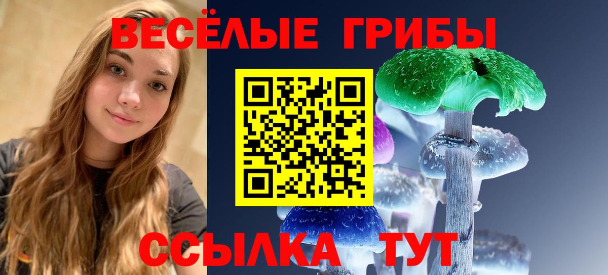 Псилоцибиновые грибы Psilocybe  Галлюциногенные грибы Psilocybe  Вход с VPN  Партизанск 
